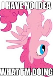 Size: 419x612 | Tagged: safe, imported from derpibooru, pinkie pie, pegasus, pony, artifact, caption, female, i have no idea what i'm doing, image macro, impact font, meme, race swap, simple background, solo, text, upside down, white background