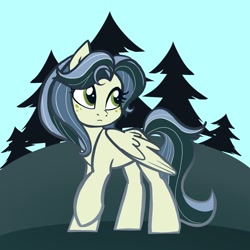 Size: 2048x2048 | Tagged: safe, artist:pfeffaroo, imported from derpibooru, oc, oc only, pegasus, pony, solo