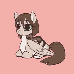 Size: 2048x2048 | Tagged: safe, artist:pfeffaroo, imported from derpibooru, oc, oc only, cat, pegasus, pony, heterochromia, pink background, simple background, solo