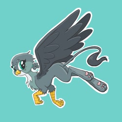 Size: 2048x2048 | Tagged: safe, artist:pfeffaroo, imported from derpibooru, gabby, griffon, flying, looking at you, looking back, outline, paw pads, paws, simple background, smiling, solo, spread wings, teal background, white outline, wings