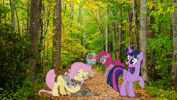 Size: 1365x768 | Tagged: safe, artist:hendro107, artist:itv-canterlot, artist:sidorovich, artist:vulthuryol00, imported from derpibooru, coco pommel, fluttershy, pinkie pie, twilight sparkle, alicorn, bird, chipmunk, duck, earth pony, ferret, mouse, pegasus, pony, rabbit, squirrel, animal, female, forest background, irl, mare, nature, photo, ponies in real life, twilight sparkle (alicorn)