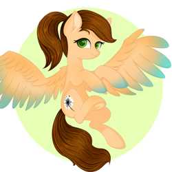 Size: 4050x4050 | Tagged: source needed, useless source url, safe, artist:bellfa, imported from derpibooru, oc, oc only, oc:sunrise, pegasus, pony, brown hair, colored pupils, commission, cute, ear fluff, eyelashes, feathered wings, female, flying, frog (hoof), full body, green eyes, looking at you, mare, ponytail, simple background, smiling, smiling at you, solo, spread wings, sticker, underhoof, wings