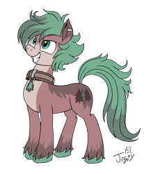 Size: 2454x2788 | Tagged: safe, artist:jowyb, imported from derpibooru, oc, oc only, earth pony, pony, 2020, collar, commission, earth pony oc, old art, simple background, solo, transparent background, unshorn fetlocks