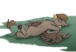 Size: 3300x2250 | Tagged: safe, artist:rutkotka, imported from derpibooru, oc, oc only, oc:elio, griffon, clothes, commission, grass, hat, lying down, on back, paw pads, simple background, sleeping, solo, spread wings, white background, wings