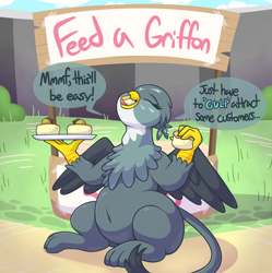 Size: 3976x4000 | Tagged: safe, artist:graphenescloset, imported from derpibooru, gabby, griffon, series:gabby's filling fundraiser, "flab"y, belly, belly button, dialogue, eyes closed, fat, female, incentive drive, scone, solo, stand, this will end in weight gain, weight gain, weight gain sequence