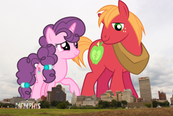 Size: 2100x1400 | Tagged: safe, artist:ambassad0r, artist:dashiesparkle, artist:thegiantponyfan, imported from derpibooru, big macintosh, sugar belle, earth pony, pony, unicorn, female, giant pony, giant unicorn, giant/macro earth pony, giantess, highrise ponies, irl, macro, male, mare, mega giant, memphis, photo, ponies in real life, really big mac, shipping, smiling, stallion, story included, straight, sugarmac, tennessee