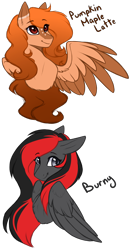 Size: 1300x2500 | Tagged: safe, artist:purplegrim40, imported from derpibooru, oc, oc only, oc:burning shadow, pegasus, pony, bust, colored wings, duo, female, mare, pegasus oc, simple background, smiling, transparent background, two toned wings, wings