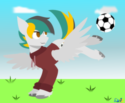 Size: 5474x4517 | Tagged: safe, artist:samsailz, imported from derpibooru, oc, pegasus, pony, clothes, commission, football, hoodie, kicking, pegasus oc, raised hoof, solo, sports