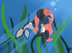 Size: 4268x3142 | Tagged: safe, artist:gnashie, imported from derpibooru, oc, oc only, orca, orca pony, original species, starfish, bubble, countershading, female, fins, fish tail, looking at you, mare, ocean, one eye closed, seaweed, solo, swimming, tail, tongue out, underwater, water, wink