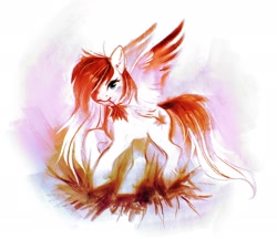 Size: 2048x1772 | Tagged: safe, artist:dearmary, imported from derpibooru, oc, oc only, oc:making amends, pegasus, pony, solo