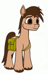Size: 533x810 | Tagged: safe, artist:dsb71013, imported from derpibooru, oc, oc only, oc:night cap, earth pony, pony, animated, bag, ear flick, earth pony oc, full body, g5, gif, hooves, loop, male, simple background, solo, stallion, standing, unshorn fetlocks, white background