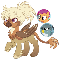 Size: 1133x1142 | Tagged: safe, artist:hopenotfound, imported from derpibooru, gabby, scootaloo, oc, oc:autumn breeze, griffon, hippogriff, pony, interspecies offspring, magical lesbian spawn, offspring, parent:gabby, parent:scootaloo, parents:gabbyloo, simple background, transparent background