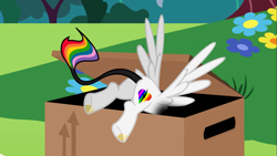 Size: 2001x1125 | Tagged: safe, imported from derpibooru, oc, oc:lightning bliss, alicorn, box, flank, rainbow tail, tail