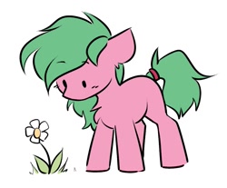 Size: 1153x955 | Tagged: safe, artist:starlyfly, imported from derpibooru, oc, oc only, earth pony, pony, flower, simple background, solo, white background