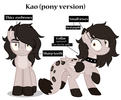 Size: 3288x2724 | Tagged: safe, artist:highrolleryt, imported from derpibooru, oc, oc only, pegasus, pony, collar, duo, pegasus oc, raised hoof, smiling, spiked collar