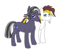 Size: 4128x3096 | Tagged: safe, artist:lennystendhal13, imported from derpibooru, oc, oc only, oc:overlooked wonder, oc:stendhal, earth pony, pony, male, simple background, stallion, transparent background