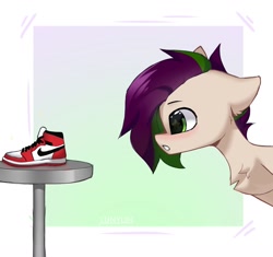 Size: 1280x1205 | Tagged: safe, artist:lunylin, imported from derpibooru, oc, oc only, pony, blushing, chest fluff, clothes, nike, shoes, sneakers, solo, stare, wingding eyes