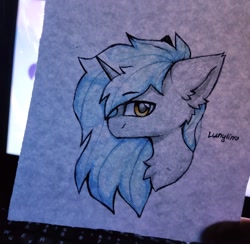 Size: 1280x1250 | Tagged: safe, artist:lunylin, imported from derpibooru, oc, oc only, pony, bust, chest fluff, photo, portrait, solo, traditional art