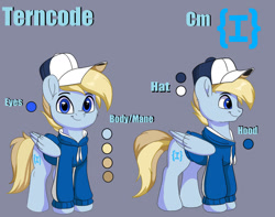 Size: 1280x1008 | Tagged: safe, artist:joaothejohn, imported from derpibooru, oc, oc only, oc:terncode, pegasus, pony, clothes, commission, cute, hat, hoodie, looking at you, pegasus oc, reference sheet, simple background, wings
