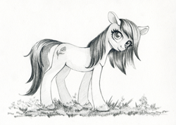 Size: 1195x849 | Tagged: safe, artist:maytee, imported from derpibooru, roseluck, earth pony, pony, female, grayscale, looking at you, mare, monochrome, pencil drawing, smiling, smiling at you, solo, traditional art
