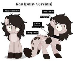 Size: 3288x2724 | Tagged: safe, artist:highrolleryt, imported from derpibooru, oc, oc only, pegasus, pony, collar, duo, pegasus oc, raised hoof, smiling, spiked collar, wings