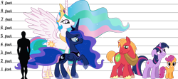 Size: 1282x570 | Tagged: safe, artist:lunicaura106, imported from derpibooru, big macintosh, princess celestia, princess luna, scootaloo, twilight sparkle, alicorn, earth pony, human, pony, unicorn, crown, female, filly, floppy ears, foal, folded wings, grin, group, height, height difference, height scale, jewelry, male, mare, princess celestia is a horse, raised hoof, regalia, sextet, simple background, size chart, size comparison, size difference, small wings, smiling, spread wings, stallion, transparent background, unicorn twilight, vector, wings, wrong