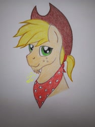 Size: 3096x4128 | Tagged: safe, artist:lennystendhal13, imported from derpibooru, applejack, pony, applejack (male), bust, portrait, rule 63, solo, traditional art