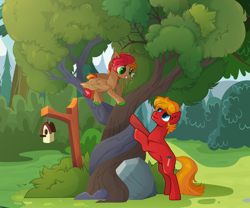 Size: 3190x2655 | Tagged: safe, artist:shore2020, imported from derpibooru, oc, oc only, earth pony, pegasus, pony, base used, bird house, duo, earth pony oc, intertwined trees, male, pegasus oc, stallion, tree