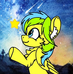 Size: 1899x1920 | Tagged: safe, artist:rainbowwing, imported from derpibooru, oc, oc:nature guard, chest fluff, ear fluff, smiling, stars