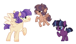 Size: 1842x1070 | Tagged: safe, artist:lovedletters, imported from twibooru, oc, oc only, pegasus, pony, unicorn, base used, blaze (coat marking), colored hooves, colt, female, filly, flying, image, male, offspring, parent:flash sentry, parent:twilight sparkle, parents:flashlight, png, raised hoof, siblings, simple background, snip (coat marking), stallion, standing, transparent background