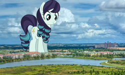 Size: 1920x1151 | Tagged: safe, artist:jhayarr23, artist:thegiantponyfan, imported from derpibooru, coloratura, earth pony, pony, female, florida, giant pony, giant/macro earth pony, giantess, highrise ponies, irl, macro, mare, mega giant, orlando, photo, ponies in real life