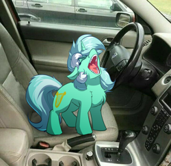 Size: 4000x3885 | Tagged: safe, artist:witchtaunter, imported from derpibooru, lyra heartstrings, pony, unicorn, aaaaaaaaaa, car, car interior, chest fluff, ear fluff, faic, female, floppy ears, irl, l.u.l.s., mare, meme, photo, ponies in real life, ponified animal photo, ponified meme, reference in the comments, screaming, solo, standing, teeth, yelling