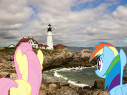 Size: 3264x2448 | Tagged: safe, artist:dashiesparkle, artist:mlplover94, artist:mundschenk85, imported from derpibooru, blossomforth, fluttershy, rainbow dash, pegasus, pony, cape elizabeth, female, high res, irl, lighthouse, maine, mare, photo, ponies in real life