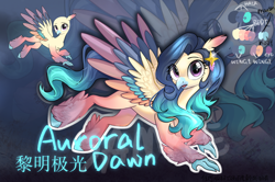 Size: 1452x963 | Tagged: safe, artist:rily, imported from derpibooru, oc, oc only, oc:auroral dawn, hippogriff, pony, bald, blue background, chinese, looking at you, purple eyes, simple background, solo, wings, zoom layer