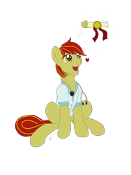 Size: 3096x4128 | Tagged: safe, artist:lennystendhal13, imported from derpibooru, oc, oc:boozey, earth pony, pony, clothes, diploma, male, shirt, simple background, solo, stallion, transparent background