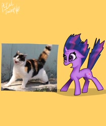 Size: 1714x2048 | Tagged: safe, artist:petaltwinkle, imported from derpibooru, twilight sparkle, cat, pony, unicorn, behaving like a cat, female, floppy ears, horn, mare, open mouth, ponified animal photo, simple background, solo, twilight cat, unicorn twilight, yellow background