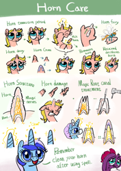 Size: 3000x4239 | Tagged: safe, artist:ja0822ck, imported from derpibooru, minuette, tempest shadow, oc, breezie, pony, unicorn, broken horn, chart, diagram, dialogue, glowing, glowing horn, horn, magic, nerves, root canal therapy