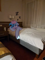 Size: 1536x2048 | Tagged: safe, artist:maren, imported from derpibooru, oc, oc only, oc:blue chewings, earth pony, pony, bed, chew toy, hotel room, irl, mouth hold, onomatopoeia, photo, ponies in real life, sleeping, solo, sound effects, zzz