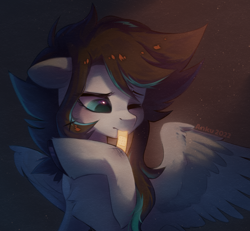 Size: 2166x2000 | Tagged: safe, artist:anku, imported from derpibooru, oc, oc only, pegasus, pony, bandaid, high res, one eye closed, scratches, signature, solo