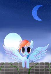 Size: 4000x5716 | Tagged: safe, artist:nnaly, imported from derpibooru, rainbow dash, pegasus, pony, absurd resolution, leaning, looking at you, sky, solo, spread wings, starry eyes, wingding eyes, wings