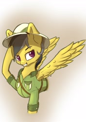 Size: 1771x2508 | Tagged: safe, artist:db, imported from derpibooru, daring do, pegasus, pony, female, hat, mare, smiling, solo, spread wings, wings