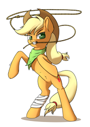 Size: 3035x4299 | Tagged: safe, artist:db, imported from derpibooru, applejack, earth pony, pony, applejack's hat, bandage, bipedal, cowboy hat, hat, lasso, mouth hold, neckerchief, rearing, rope, simple background, solo, transparent background