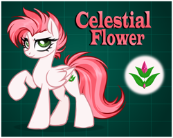 Size: 3000x2400 | Tagged: safe, artist:kannakiller, imported from derpibooru, oc, oc only, oc:celestial flower, pegasus, pony, digital art, female, mare, pegasus oc, reference, reference sheet, sketch, solo, wings