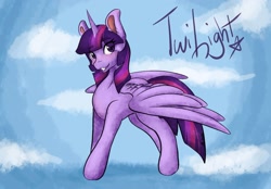 Size: 2048x1423 | Tagged: safe, artist:mscolorsplash, imported from derpibooru, twilight sparkle, alicorn, pony, eye clipping through hair, eyebrows, eyebrows visible through hair, female, grin, looking at you, mare, name, smiling, smiling at you, solo, twilight sparkle (alicorn)