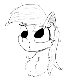 Size: 830x924 | Tagged: safe, artist:chopsticks, imported from derpibooru, derpy hooves, pegasus, pony, cheek fluff, chest fluff, ear fluff, female, mare, monochrome, simple background, sketch, solo, white background