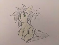Size: 2016x1512 | Tagged: safe, artist:neuro, imported from derpibooru, oc, oc only, oc:filly anon, earth pony, pony, arrow, chest fluff, female, filly, foal, sitting, smiling, solo, text, traditional art