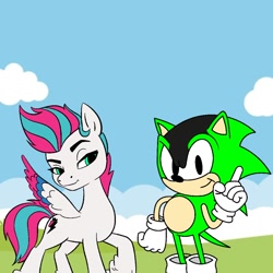 Size: 1000x1000 | Tagged: safe, artist:thatradhedgehog, imported from derpibooru, zipp storm, oc, hedgehog, pegasus, pony, ashura the hedgehog, g5, sonic the hedgehog (series), zippshura