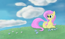 Size: 1280x768 | Tagged: safe, artist:kalivian, imported from derpibooru, fluttershy, pegasus, pony, chest fluff, cloud, female, flower, folded wings, grass, lying down, mare, outdoors, prone, sky, smiling, solo, turned head, wings