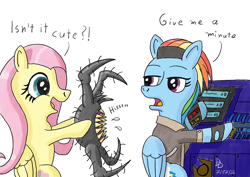 Size: 1200x849 | Tagged: safe, artist:darkdabula, imported from derpibooru, fluttershy, rainbow dash, pegasus, pony, atg 2022, clothes, combine, crossover, dialogue, duo, female, folded wings, half life alyx, half-life, half-life: alyx, headcrab, jacket, mare, newbie artist training grounds, poison headcrab, simple background, white background, wings