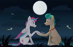 Size: 5100x3300 | Tagged: safe, artist:bronybran, imported from derpibooru, hitch trailblazer, zipp storm, earth pony, firefly (insect), insect, pegasus, pony, duo, female, full moon, g5, hitchzipp, holding hooves, looking at each other, looking at someone, male, mare, mare in the moon, moon, shipping, signature, slim, stallion, straight